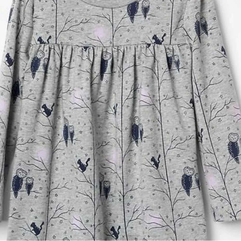 BabyGap Toddler 3 Years Long Sleeve Owl Woodland Animal Nature Boho Print Dress